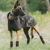 Derka siatkowa dla psa Bay Low Tail Czarna Derka siatkowa dla psa Bay Low Tail Czarna