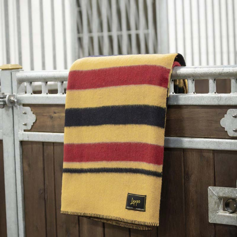 Derka wełniana Newmarket Żółta