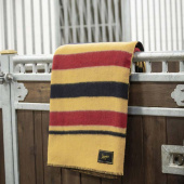 Derka wełniana Newmarket Żółta Derka wełniana Newmarket Żółta