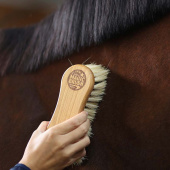 Szczotka Combi włosie naturalne/syntetyczne Szczotka Combi włosie naturalne/syntetyczne