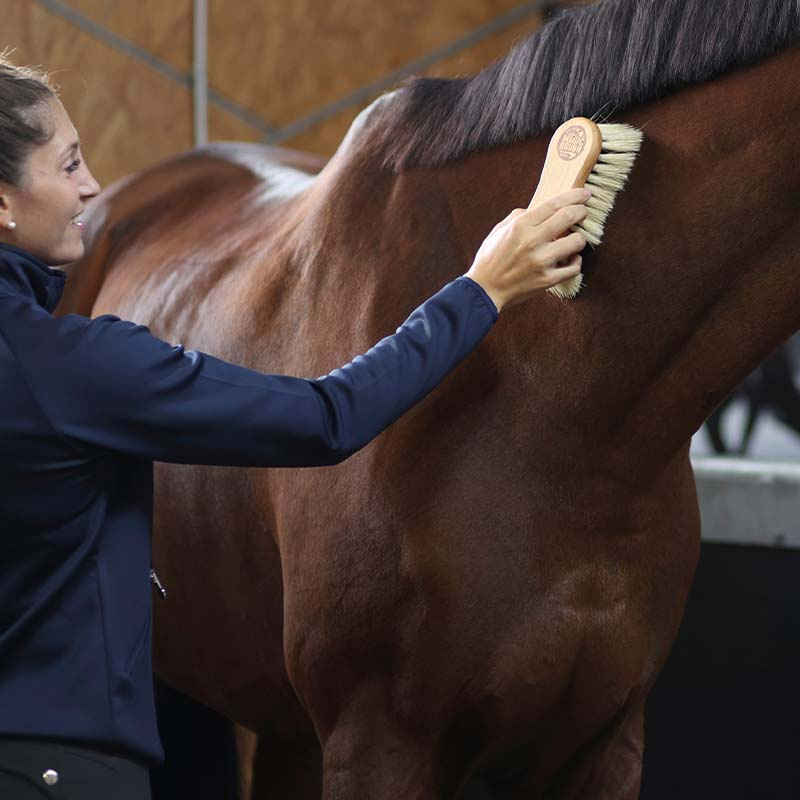 Szczotka Combi włosie naturalne/syntetyczne