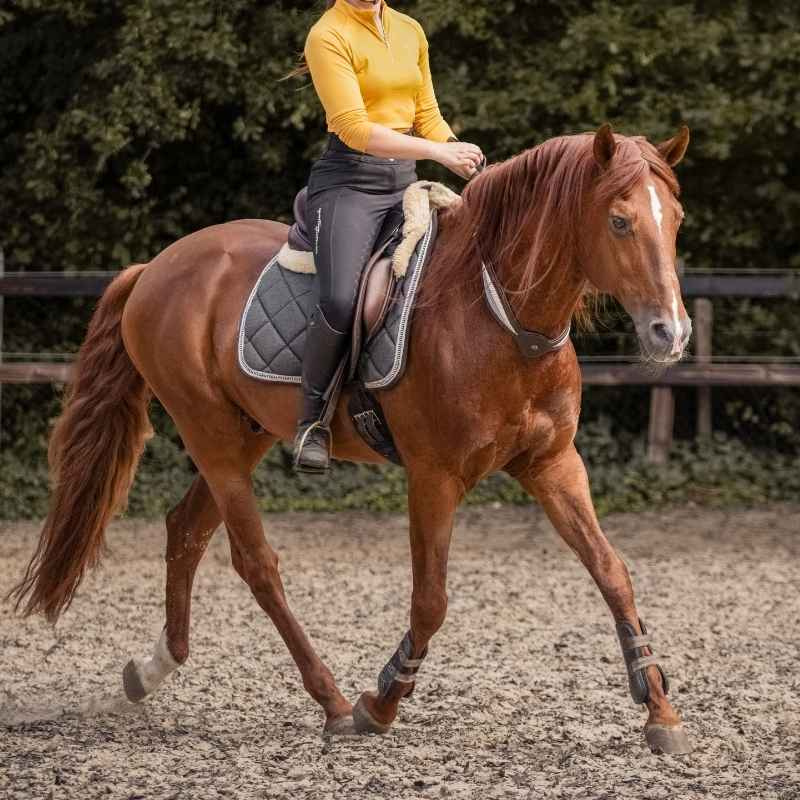 Cordeo skórzane Whisper NH Brązowe