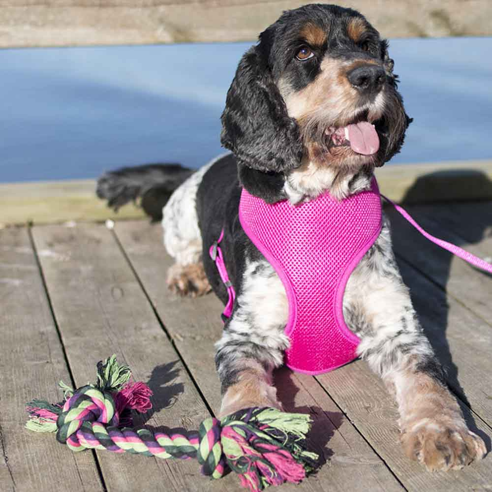 Zabawka dla Psa Vixen Sznur z węzłami Zielono/Czarno/Różowy