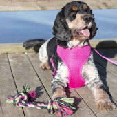 Zabawka dla Psa Vixen Sznur z węzłami Zielono/Czarno/Różowy Zabawka dla Psa Vixen Sznur z węzłami Zielono/Czarno/Różowy