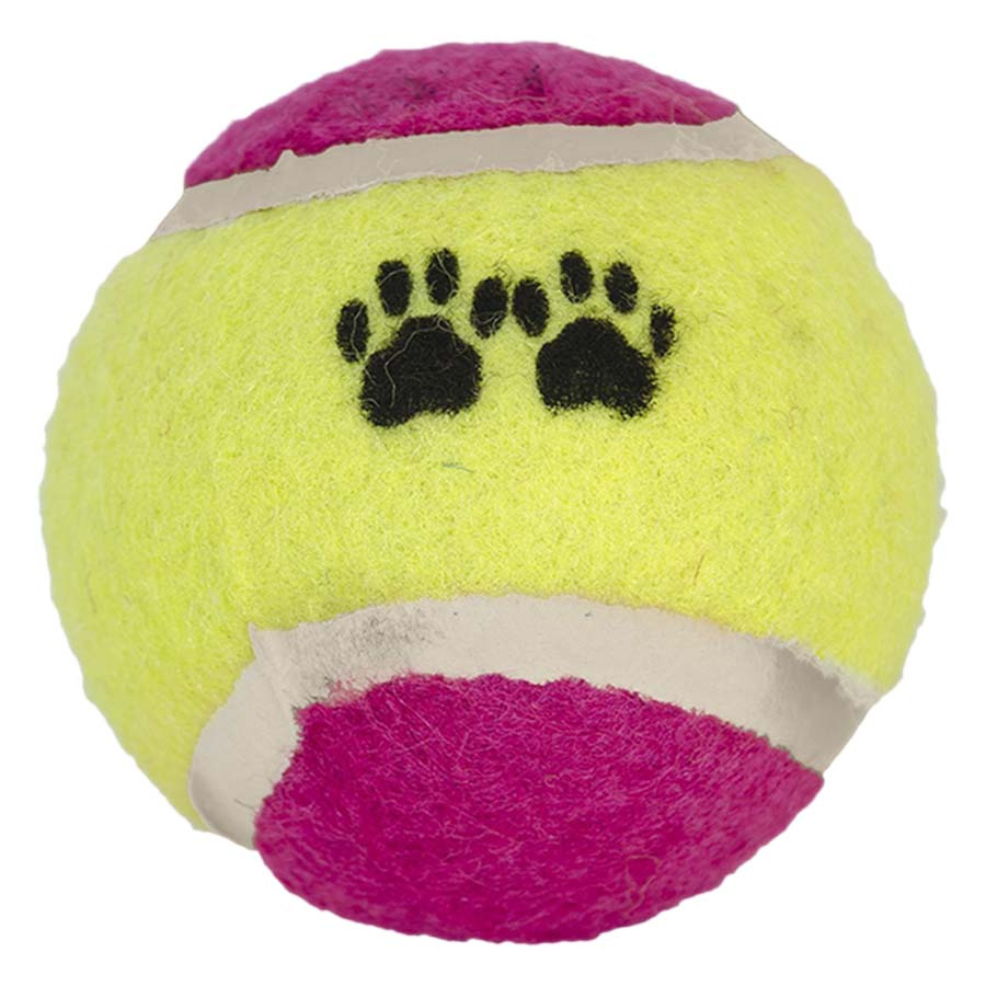 Wyrzutnia piłek z piłką tenisową Wille Czarna