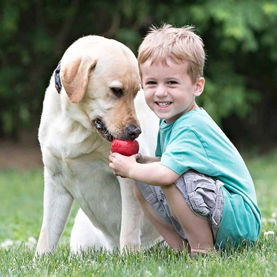 Przysmak dla psa KONG Stuff'n Liver Paste 226g