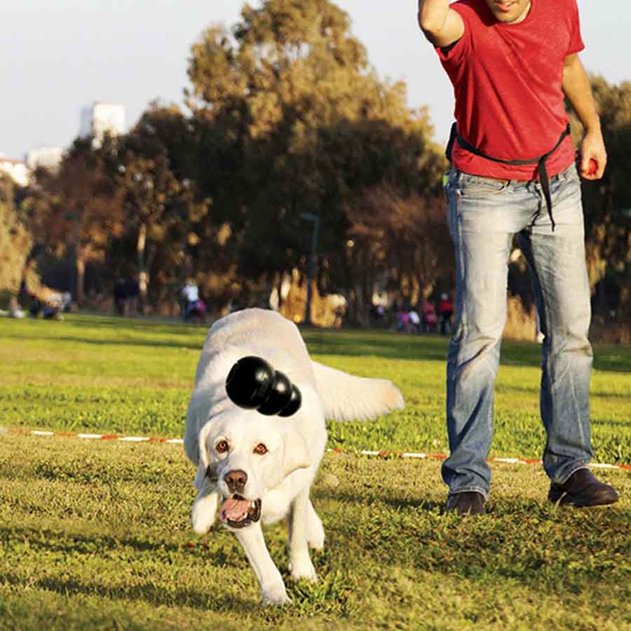 Zabawka dla psa KONG Extreme Small Czarna