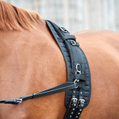 Pas do lonżowania HG Czarny Pas do lonżowania HG Czarny