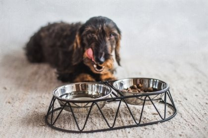 Zestaw misek na stojaku Menja