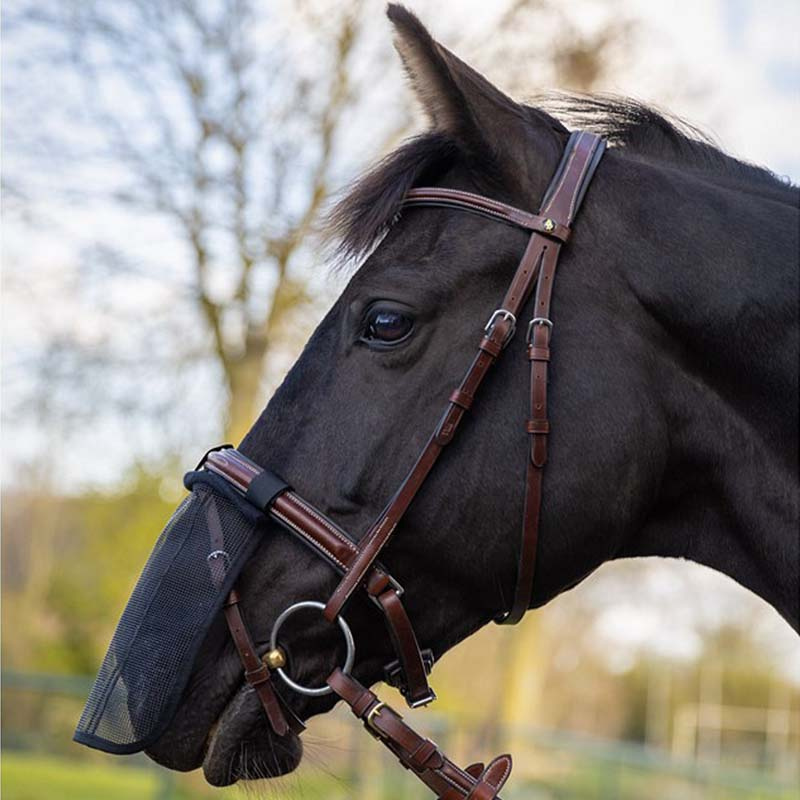Siatka na nos Czarna