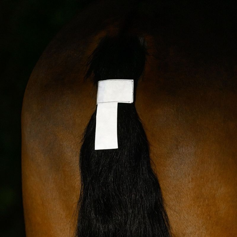 Odblask na ogon Tail Cord Srebrny