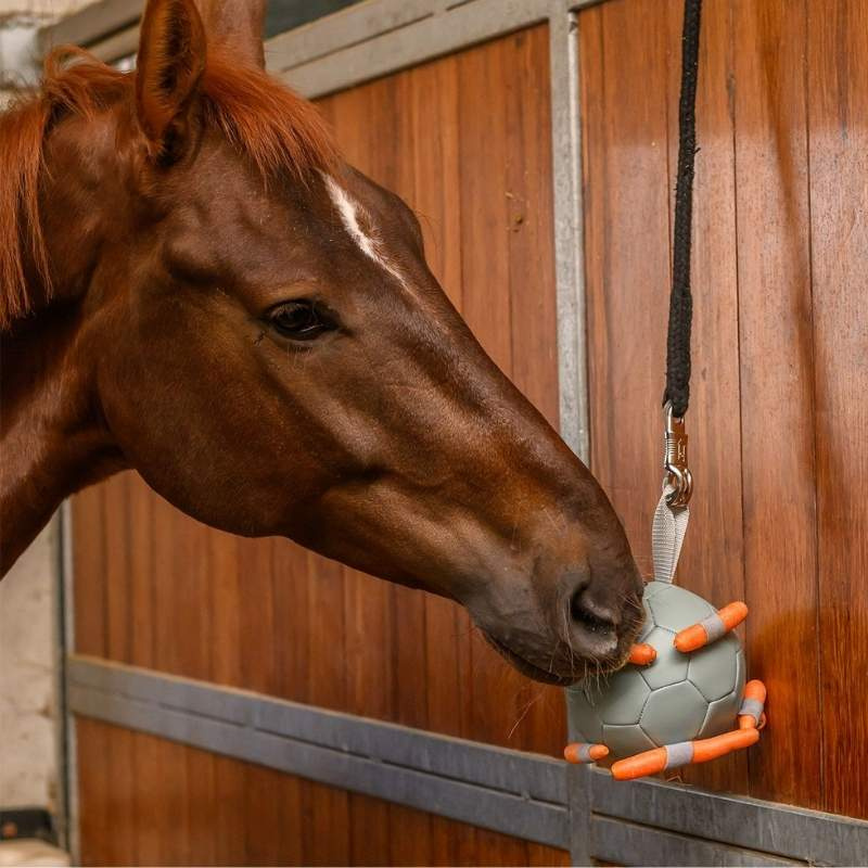 Zabawka dla konia Carrot Ball Zielona