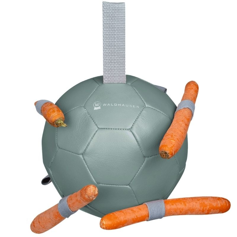 Zabawka dla konia Carrot Ball Zielona