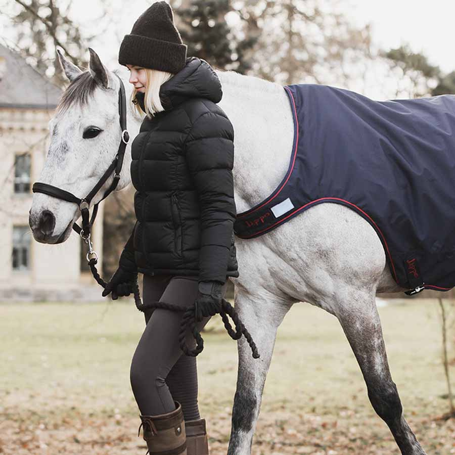 Derka do Końskich Spacerów Walker Basic 600D 0g Granatowa