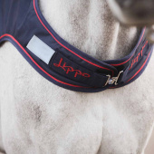 Derka do Końskich Spacerów Walker Basic 600D 0g Granatowa Derka do Końskich Spacerów Walker Basic 600D 0g Granatowa