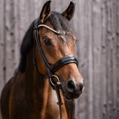 Wędzidło podwójnie łamane Novocontact Sensogan Ø55mm Wędzidło podwójnie łamane Novocontact Sensogan Ø55mm