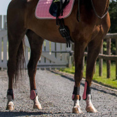 Ochraniacze skokowe przód Neopren Różowe Ochraniacze skokowe przód Neopren Różowe