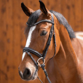 Wędzidło oliwkowe Dynamic RS Sensogan D-Ring Ø65mm Wędzidło oliwkowe Dynamic RS Sensogan D-Ring Ø65mm