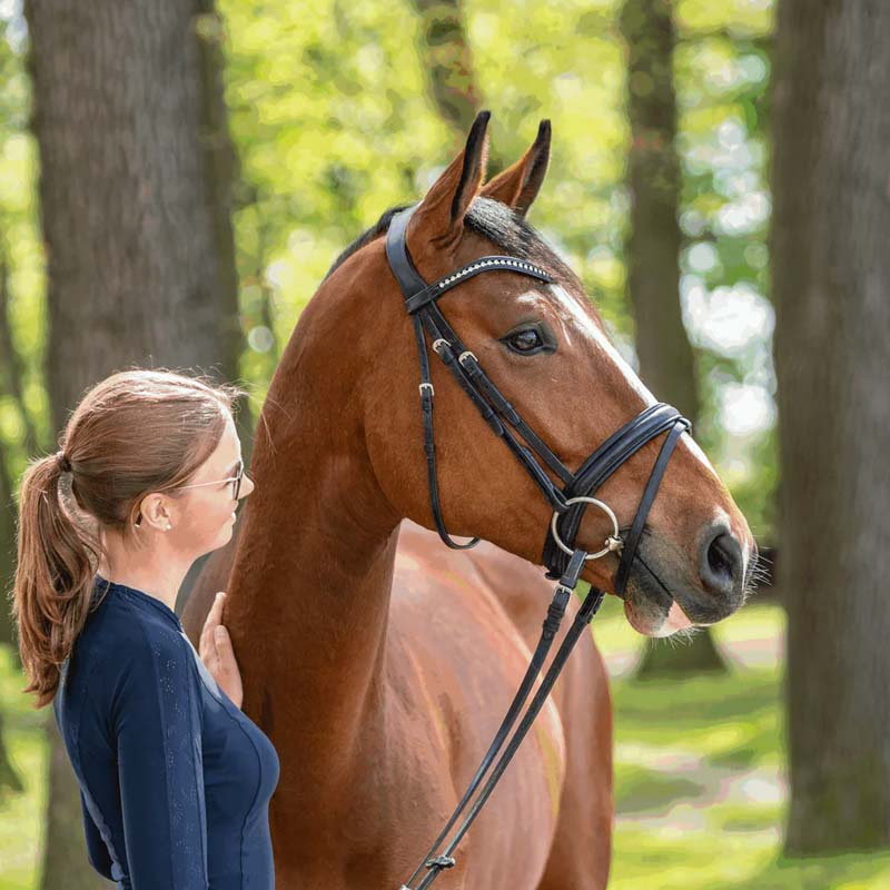 Wędzidło podwójnie łamane Dynamic RS Sensogan Ø70mm