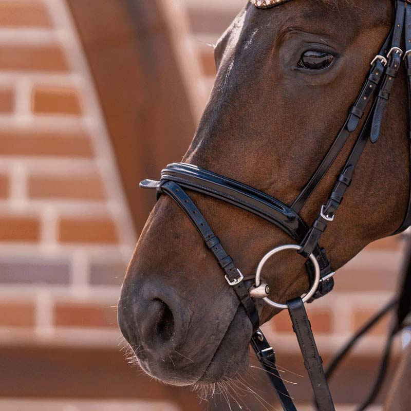 Wędzidło podwójnie łamane Dynamic RS Sensogan Ø70mm