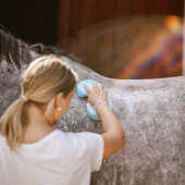 Gąbka do kąpieli Cellulose Grooming Sponge Niebieska Gąbka do kąpieli Cellulose Grooming Sponge Niebieska