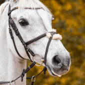 Wędzidło podwójnie łamane Novocontact Sensogan Ø70mm Wędzidło podwójnie łamane Novocontact Sensogan Ø70mm