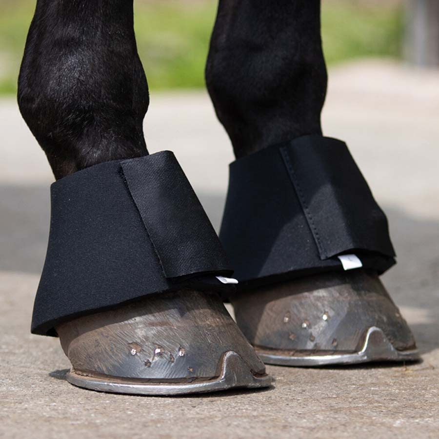 Kaloszki Basic Neopren Czarne