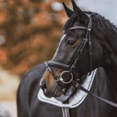 Wędzidło DUO Flexible Plastic Ø55mm-70mm Wędzidło DUO Flexible Plastic Ø55mm-70mm