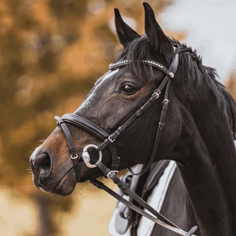 Wędzidło oliwkowe Hard Carbon Mullen Mouth Ø55mm