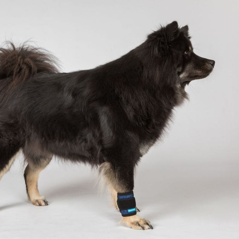 Bandaż chłodzący Cool on Track Niebieski