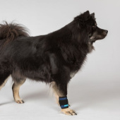 Bandaż chłodzący Cool on Track Niebieski Bandaż chłodzący Cool on Track Niebieski