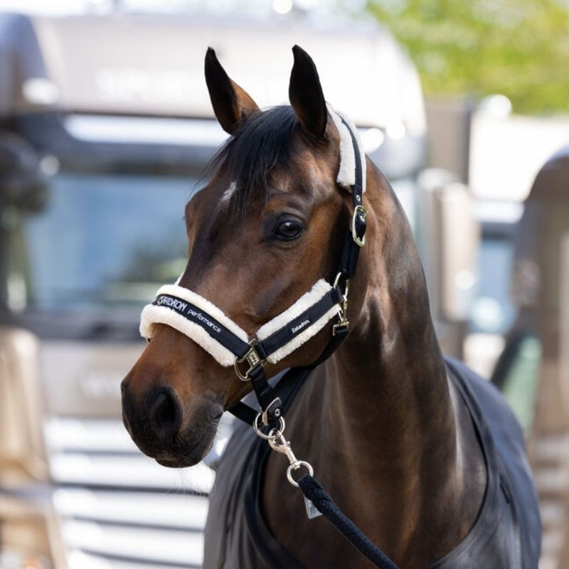 Kantar Fauxfur Double Pin Czarny