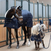 Kantar Fauxfur Double Pin Granatowy Kantar Fauxfur Double Pin Granatowy