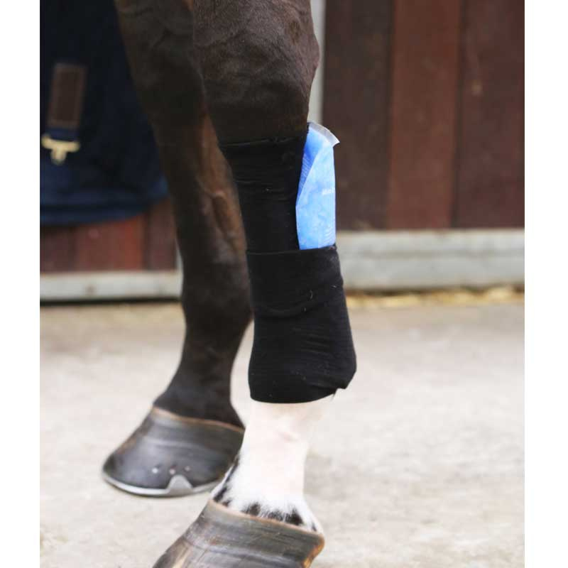 Skarpeta dla konia Grip 3m Czarny