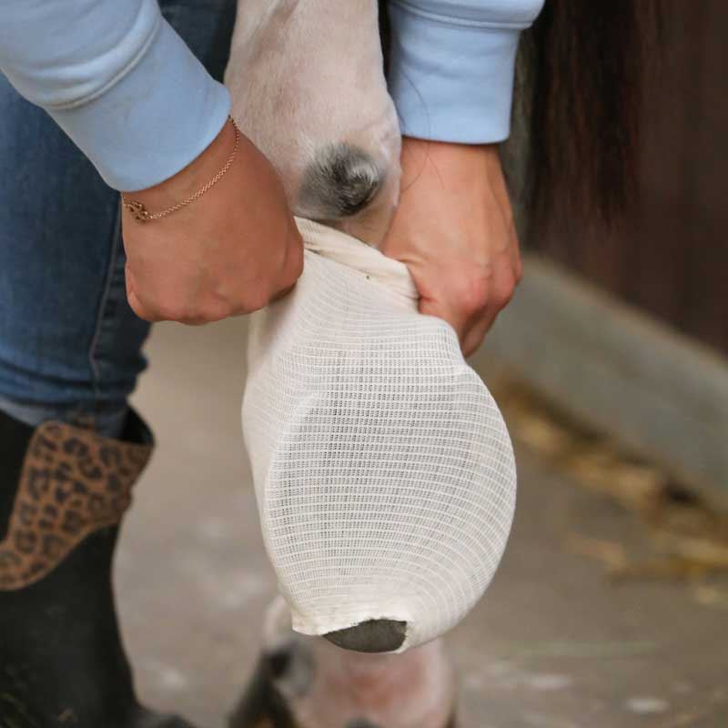 Skarpeta dla konia Grip 5m Biały