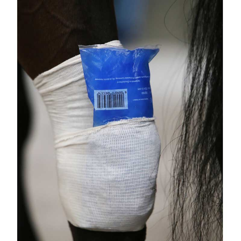 Skarpeta dla konia Grip 5m Biały