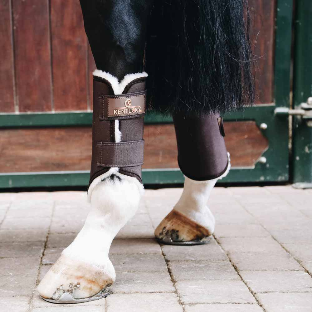 Ochraniacze treningowe Solimbra Hind Brązowe