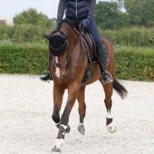 Ochraniacze treningowe Leather Front Brązowe Ochraniacze treningowe Leather Front Brązowe