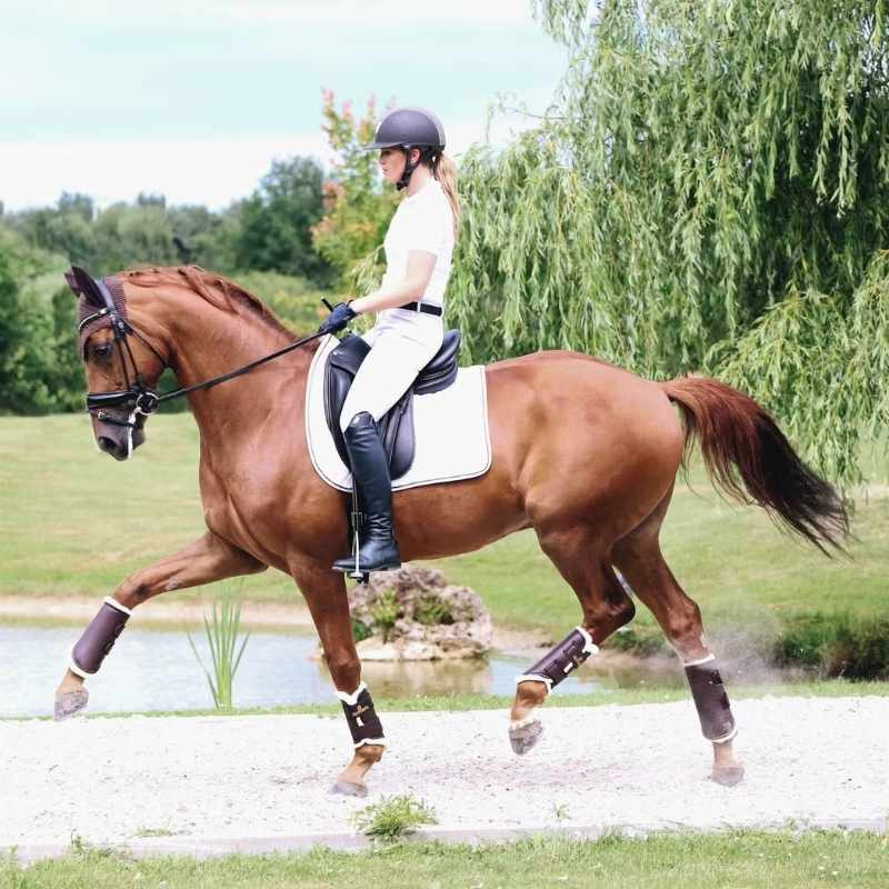 Ochraniacze treningowe Leather Hind Brązowe