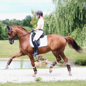 Ochraniacze treningowe Leather Hind Brązowe Ochraniacze treningowe Leather Hind Brązowe