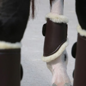 Ochraniacze treningowe Leather Hind Short Brązowe Ochraniacze treningowe Leather Hind Short Brązowe