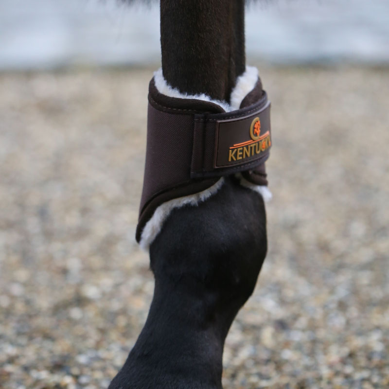 Ochraniacze treningowe Solimbra Hind Short brązowe