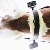 Popręg Sheepskin Czarny Popręg Sheepskin Czarny