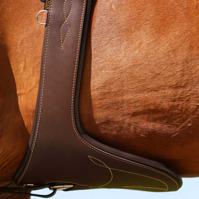 Popręg skokowy z fartuchem Czarny