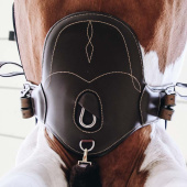 Popręg skokowy Short z fartuchem Brązowy Popręg skokowy Short z fartuchem Brązowy