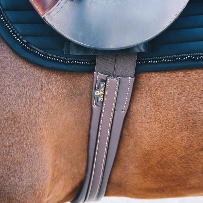 Popręg dla młodych koni brązowy