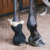 Wełna Terapeutyczna 150g Natural Wełna Terapeutyczna 150g Natural