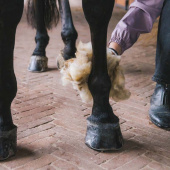 Wełna Terapeutyczna 150g Natural