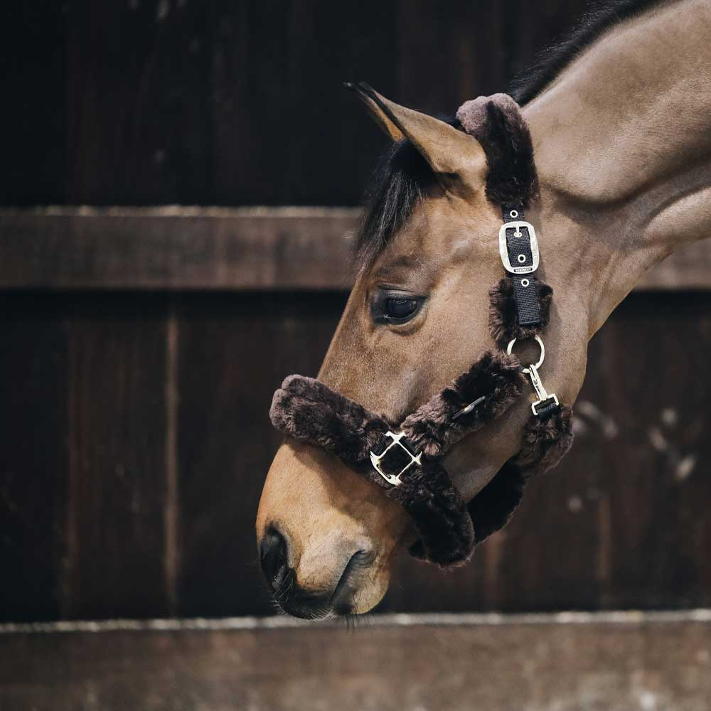 Kantar transportowy Sheepskin Brązowy
