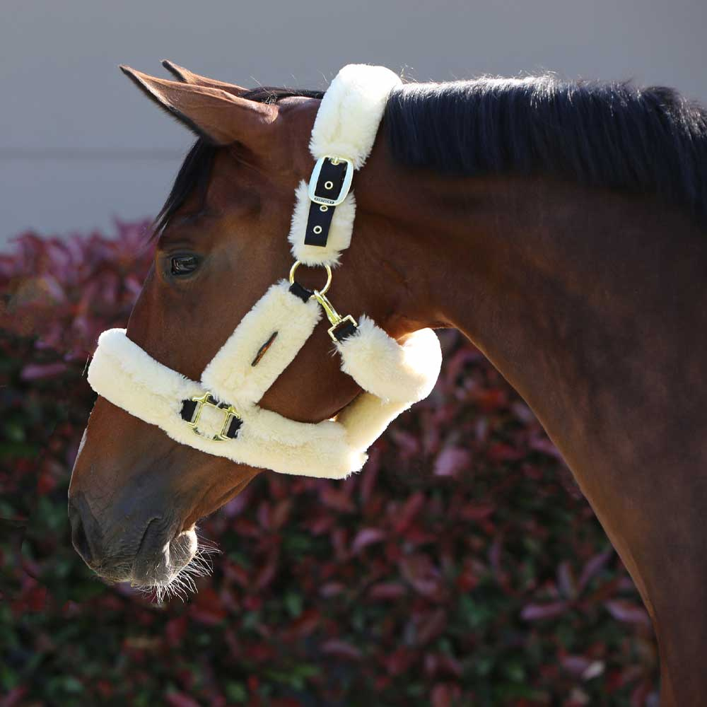 Kantar transportowy Sheepskin Naturalny